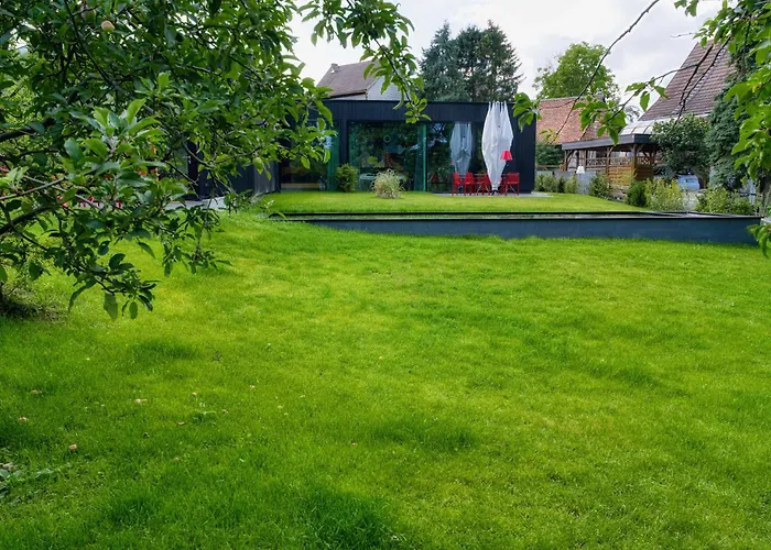 Mit Pool Little King, Little Dagobert Daire *